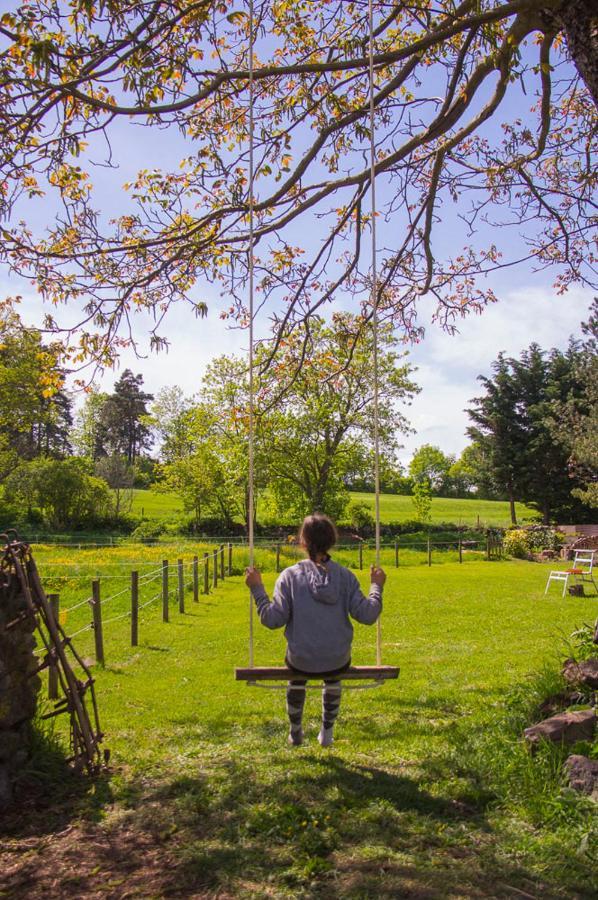 Domaine De Bauzit Bed & Breakfast Vals-pres-le-Puy ภายนอก รูปภาพ